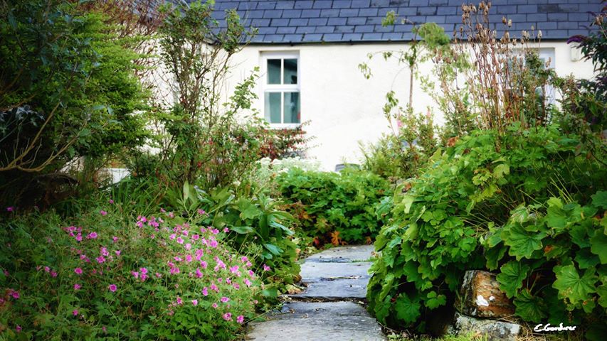 Up the garden path, Old Hall Cottage Self Catering Cottage Orkney, Esther Gardiner